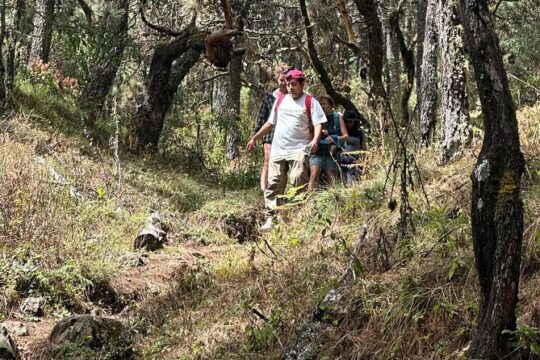 Amazing Walk through the Zapotec Mountains with Hot Chocolate