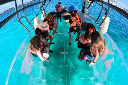 Transparent Boat Tour in Cozumel with Snorkeling and 2 Drinks