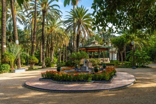 Private Tour of Alicante and Elche through History and Nature