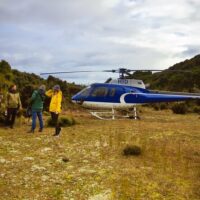 Helicopter Tours
