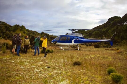Full Island Scenic Flight