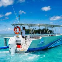 Private & Custom Tours