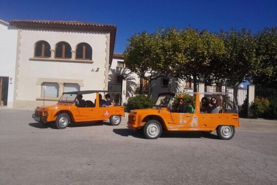 Mehari route between vineyards with wine tasting 40min Barcelona