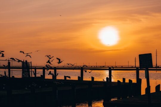 2-Hour Sunset Ultimate Party Pontoon Rental in Dewey Beach, DE
