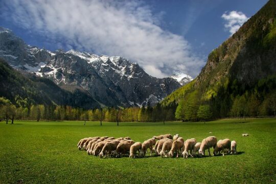Logarska valley | Private trip from Ljubljana