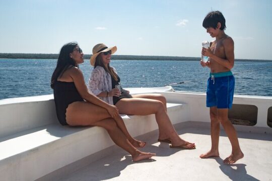 Bayahibe Catamaran: Isla Saona Cruise with Lunch & Open Bar