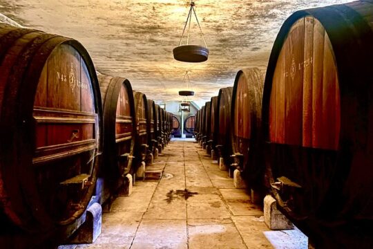 Arrábida and Setúbal All Inclusive Food and Wine Tour from Lisbon