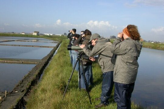 Birdwatching and Culinary Experience in Traditional Saltpans