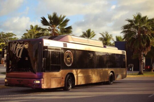 Party Bus Rental