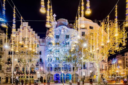 Private Highlights and Christmas special Barcelona tour