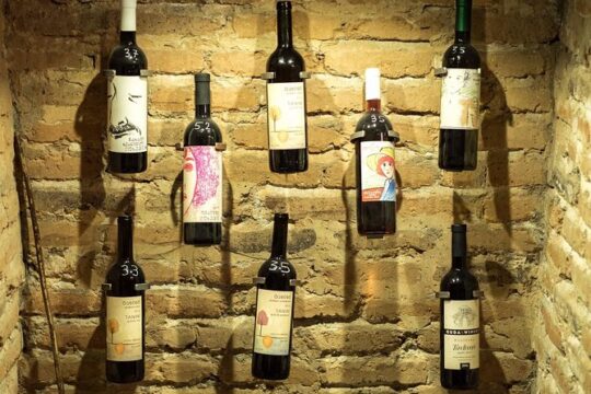 Tbilisi Private Walking Tour and Organic Wine Tasting with Detailed Explanation