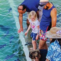 Zoo Tickets & Passes