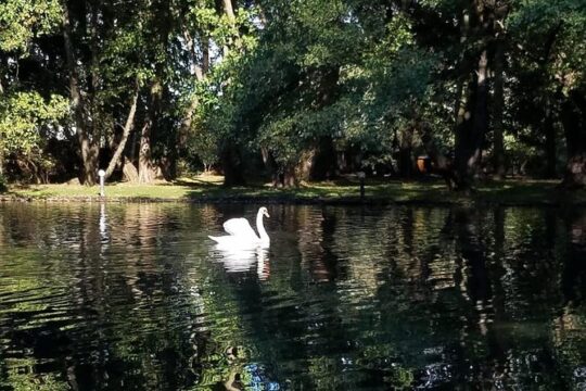 Day Trip of Pogradec and Korca