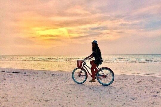 Holbox Adventure Boat, Yalahau, Pasion from Playa del Carmen
