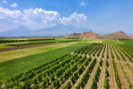 Private Areni Winery and Noravank Day Tour from Yerevan