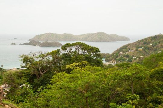 Private Tour North Coast Mountain Tour & Maracas Beach
