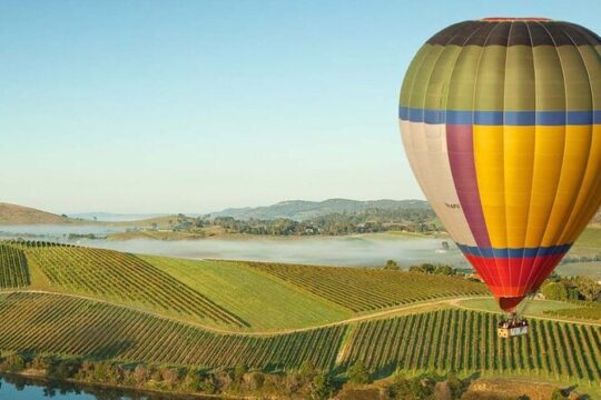 Melbourne Yarra Valley Wineries Explore Private Tour