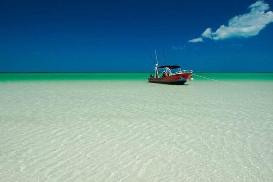 Holbox, Yalahau, Pasion Island & Mosquito beach boat From Tulum