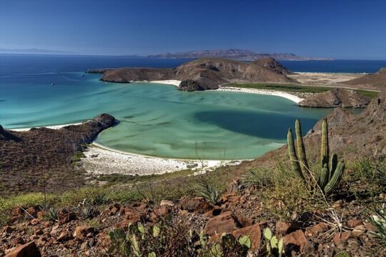 Balandra Beach Bliss Your Baja Day Adventure from Cabo