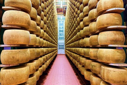 Day Trip from Milan Parma with Cheese Factory Tour and Lunch