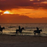 Private & Custom Tours