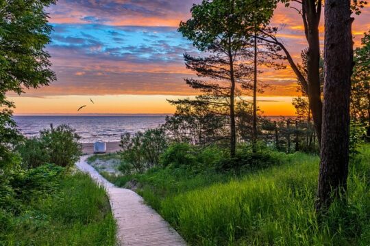 Private Tour to Kemeri National Park and Jurmala from Riga