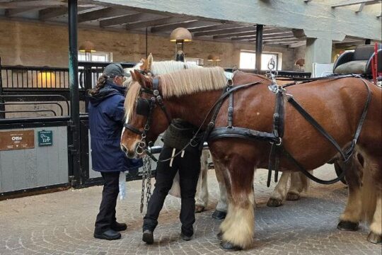 Carlsberg City Tour to Place Where The Danish Beer Was Born