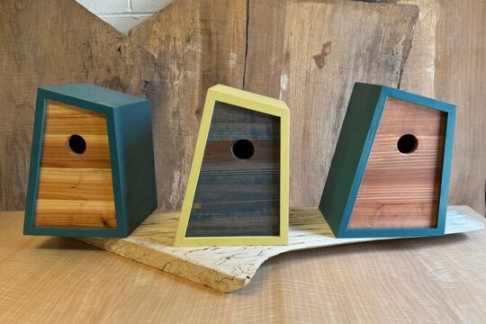 Modern Birdhouse Class in Lancaster