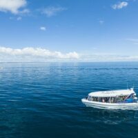 Sustainable Tours