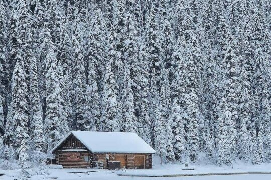 Lake Louise and Icefields Parkway Winter Tour