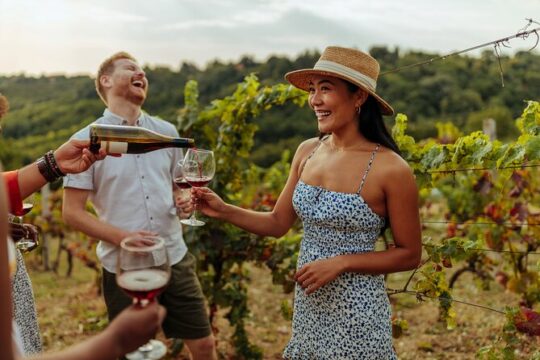 Hunter Valley All Inclusive, Wine, Chocolate Tasting and Lunch