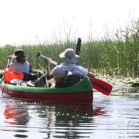 Sailing Trips