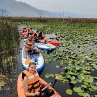 Self-guided Tours & Rentals