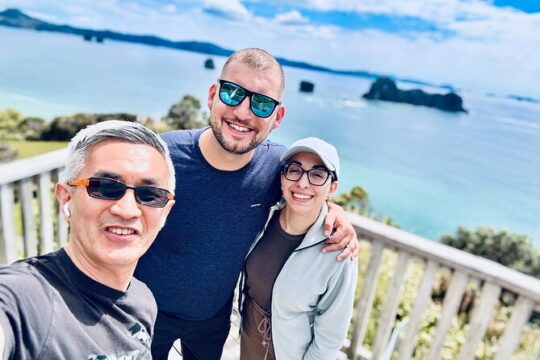 Auckland City and Nature Highlights Tour