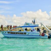 Dolphin & Whale Watching