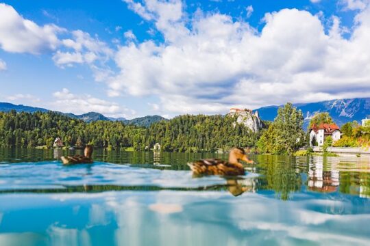 Bled lake, island & castle | Private half day trip from Ljubljana