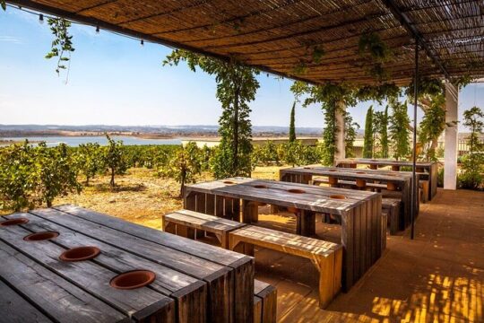Evora and Alentejo Day Trip from Lisbon