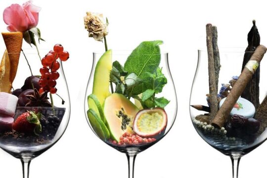 The art of multisensory tasting with the 5 senses