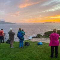 Shore Excursions