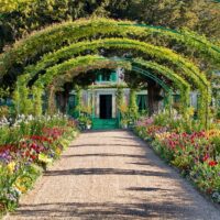 Volunteer Tours