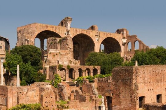 Eternal Rome Private Day Tour from Florence