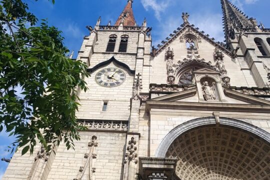 Half-Day Guided Tour in Lyon