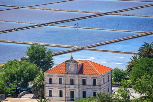 Daily Trip to Ston Walls and Saltworks with Oyster Tasting Incl. From Dubrovnik