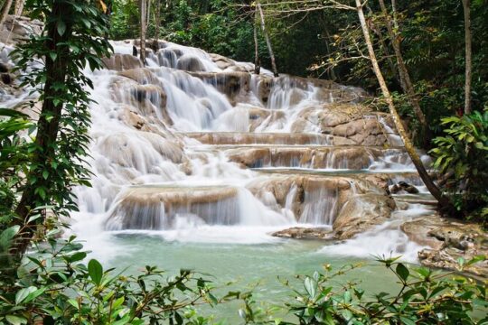 Dunn's River Falls Private Tour from Montego Bay