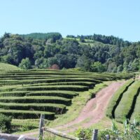 Historical & Heritage Tours