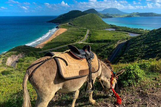 Private Tour Horseback Riding and Beach in St Lucia