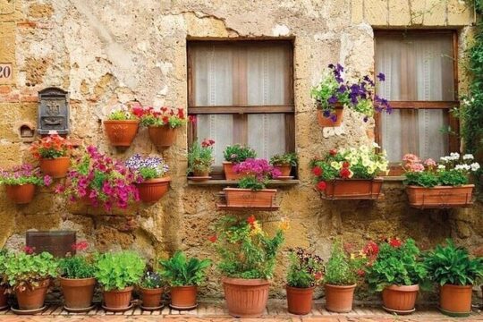 All In One San Gimignano Pisa and Siena Tour from Florence