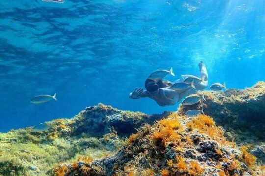 Half Day Cala Gonone Snorkeling in the Orosei Gulf