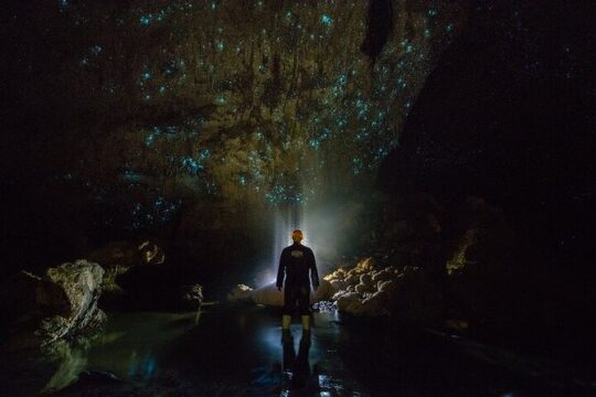 Waitomo Glow Worm Caves