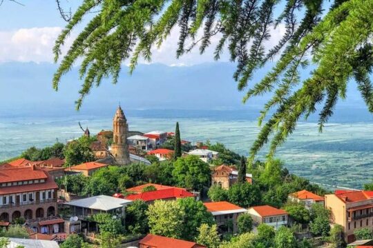 One Day Kakheti Tour with Wine Tasting and Free Churchkhela